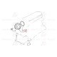 Stilo Doblo Bravo Marea Devirdaim Su Pompası 1.9D - 1.9Jtd 71776001 71776001 Stilo Doblo Bravo Marea Devirdaim Su Pompası 1.9D - 1.9Jtd 71776001 71776001