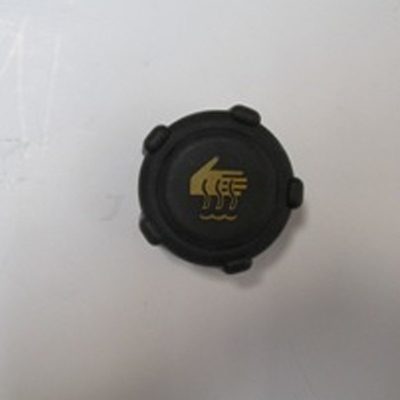 Clio 02 - 08 Radyatör Yedek Su Deposu Kapağı Siyah 8200048024 Clio 02 - 08 Radyatör Yedek Su Deposu Kapağı Siyah 8200048024