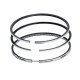 Segman Std 88.00Mm Fiat Ducato 2.3Jtd Euro 4 Segman Std 88.00Mm Fiat Ducato 2.3Jtd Euro 4