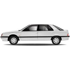 Renault R25
